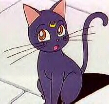 luna2.jpg