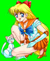 venus.jpg